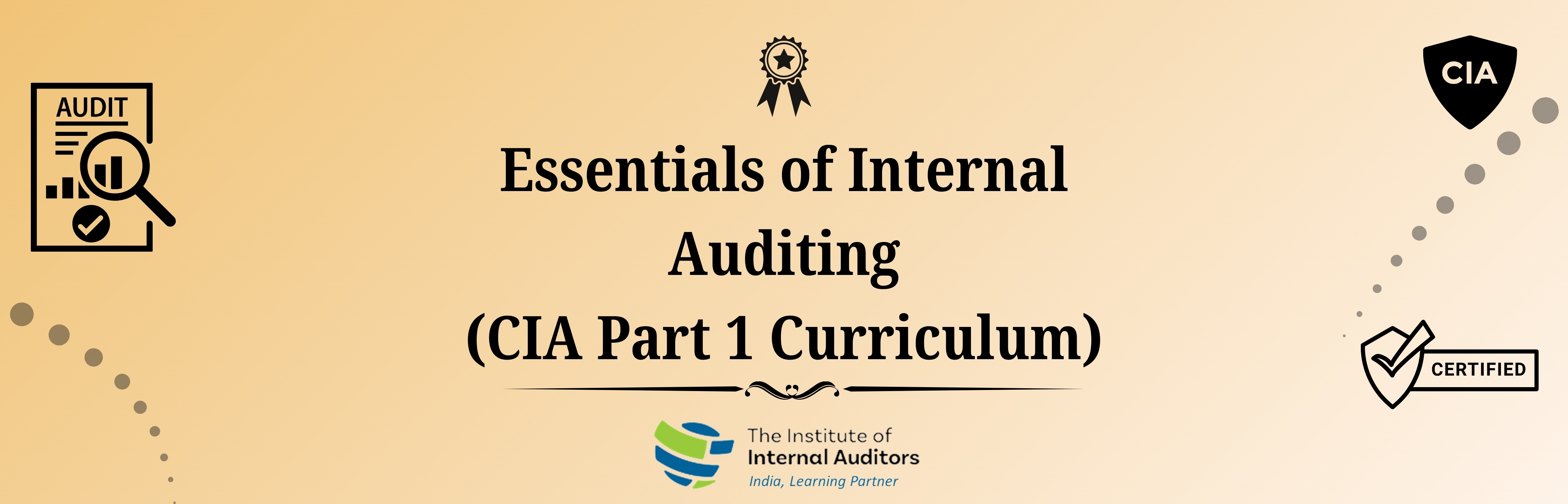 Essentials of Internal Auditing (CIA Part 1 Curriculum)