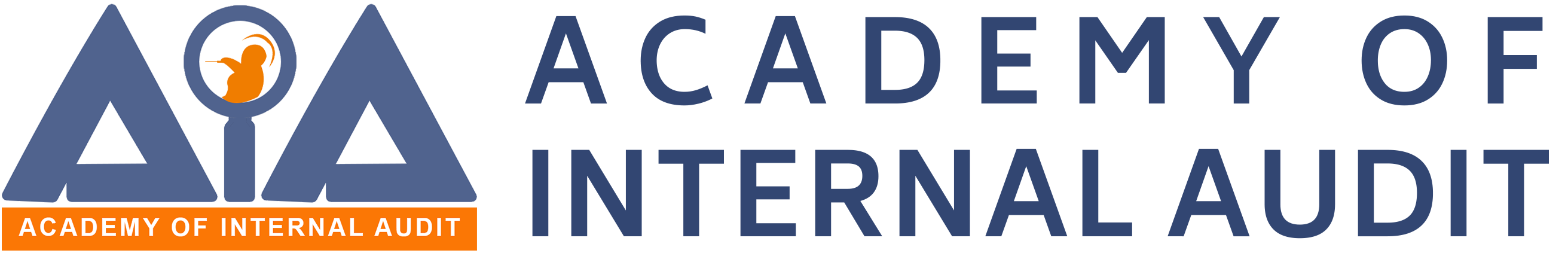 The Logo- Academy of Internal Audit