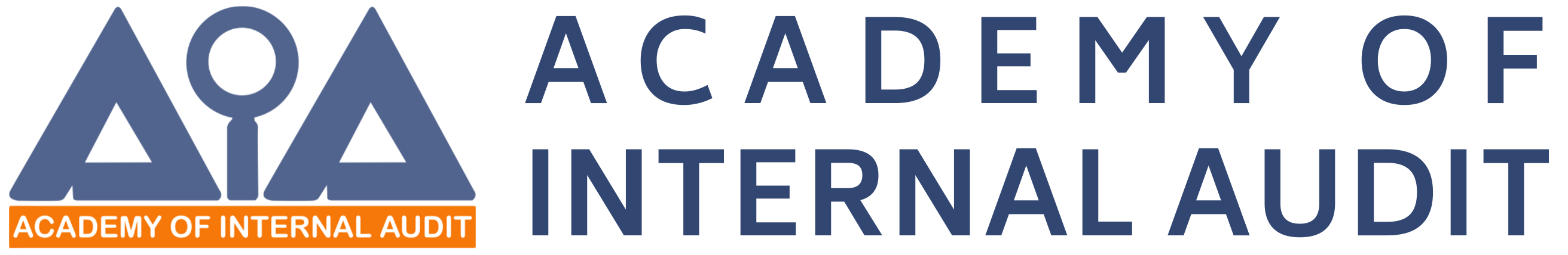 The Logo- Academy of Internal Audit