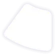 Web Design Company